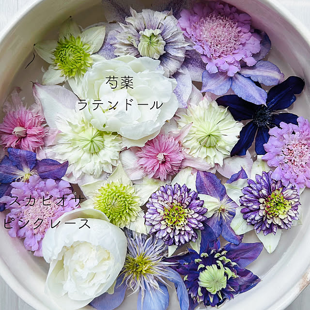 sunabaさんの部屋
