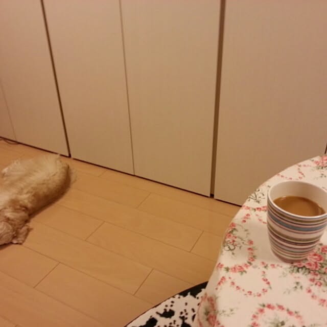 evetamaさんの実例写真