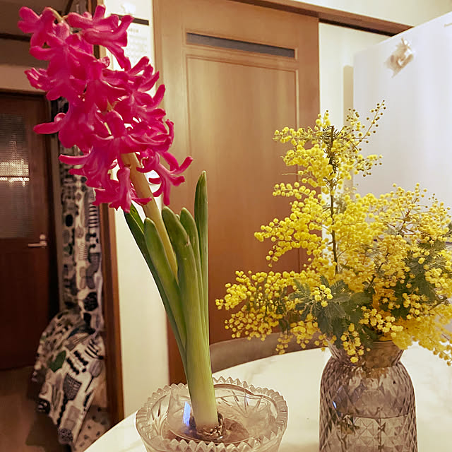 natsumiさんの部屋