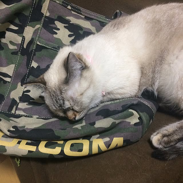 nachuさんの実例写真