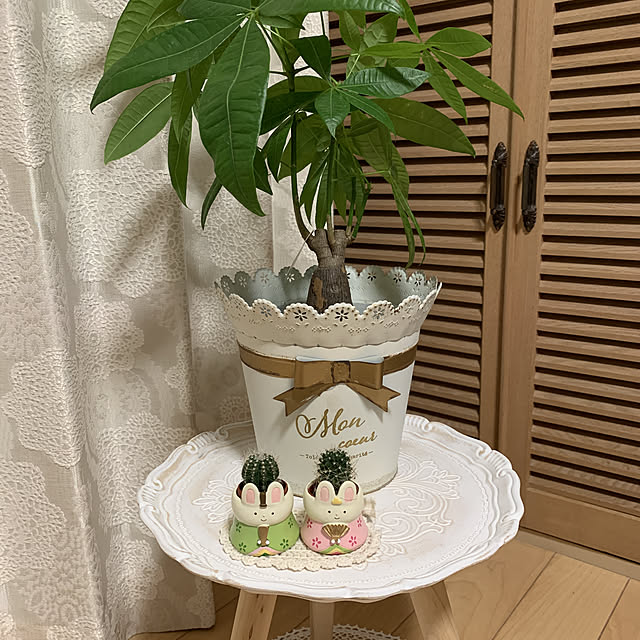 maayaさんの実例写真