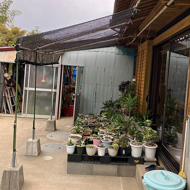 koshiregutyoさんの部屋
