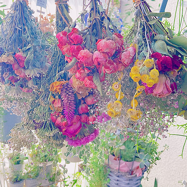 Hanakaさんの実例写真