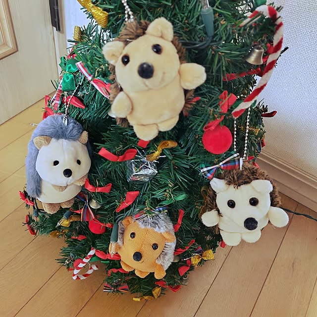 katさんの部屋