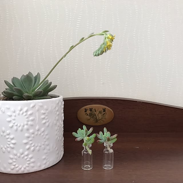 kokko3さんの実例写真