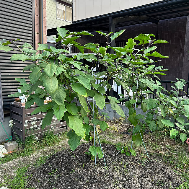 ritsukoさんの部屋