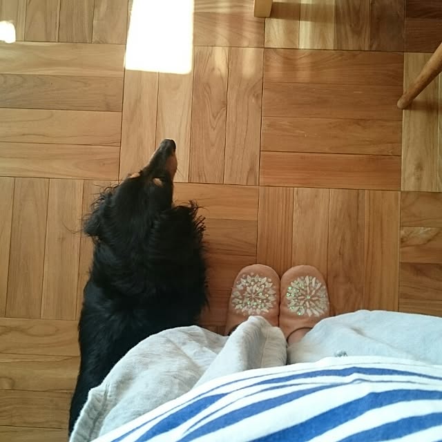 mignonさんの実例写真