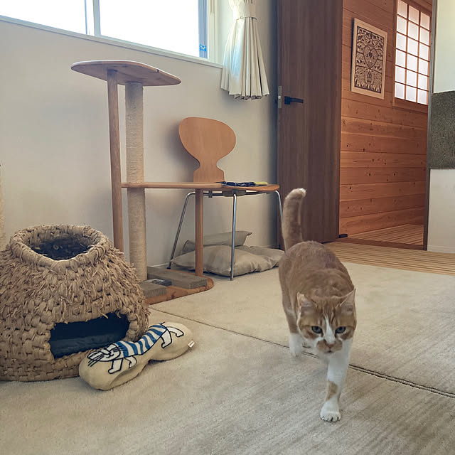 mkmkmoominさんの部屋