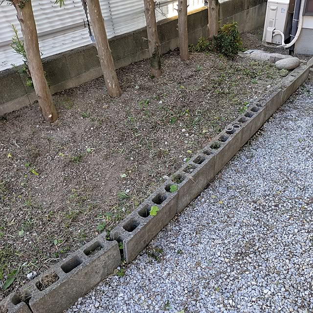 asaさんの実例写真