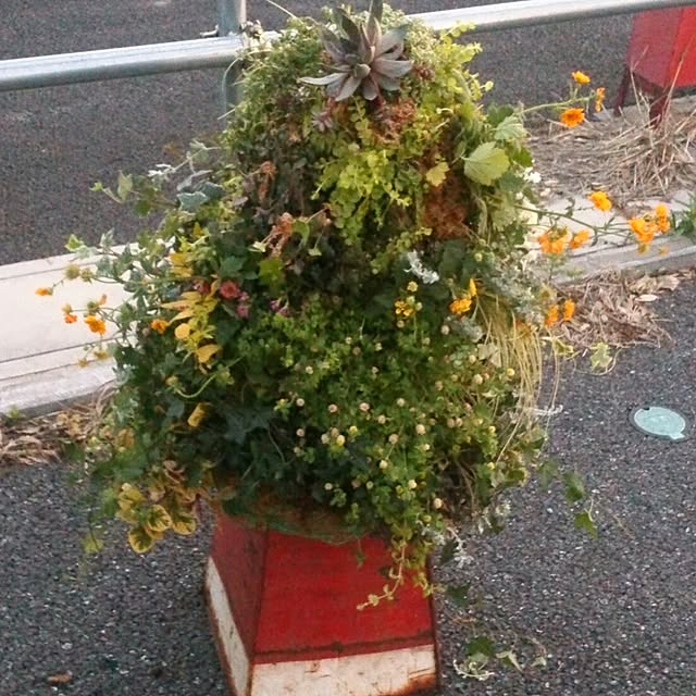 GreenWorksさんの実例写真