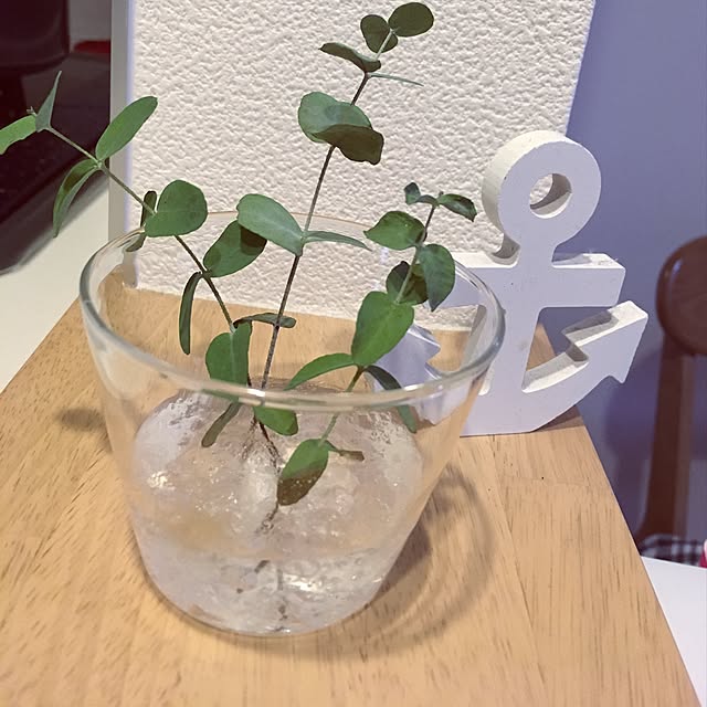 umiさんの実例写真