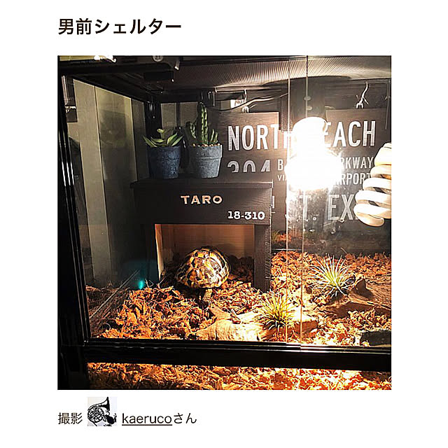 kaerucoさんの実例写真