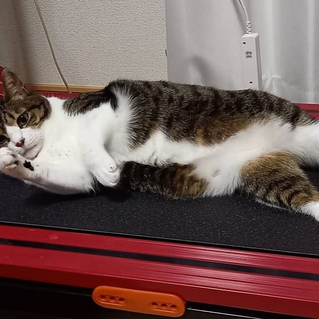 civicglさんの部屋