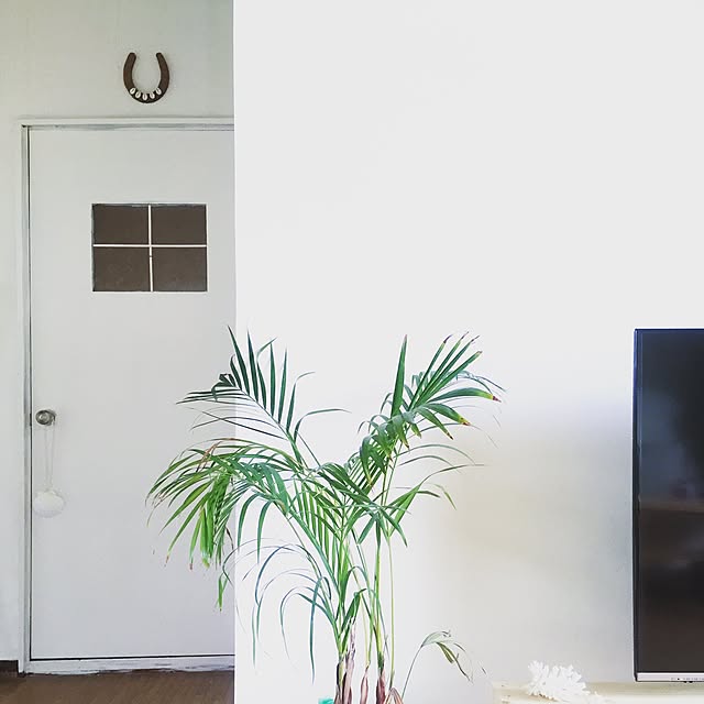 DRIFTWOOD213さんの実例写真