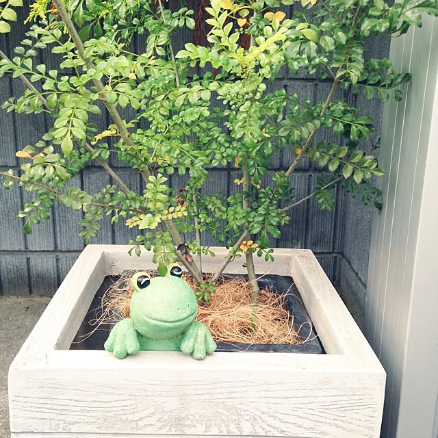 hikariさんの実例写真