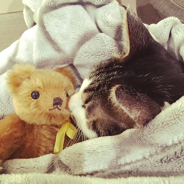 yuchiさんの実例写真