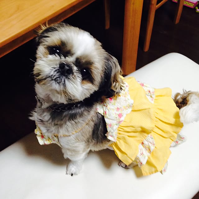 pepeさんの実例写真