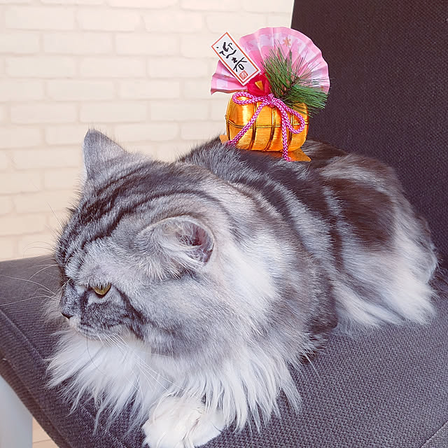 annetina374さんの実例写真