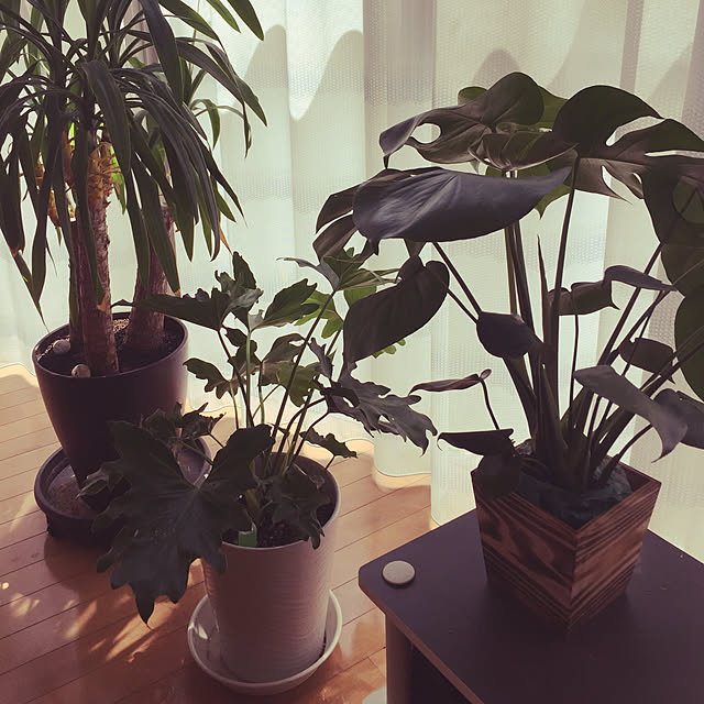 machさんの実例写真