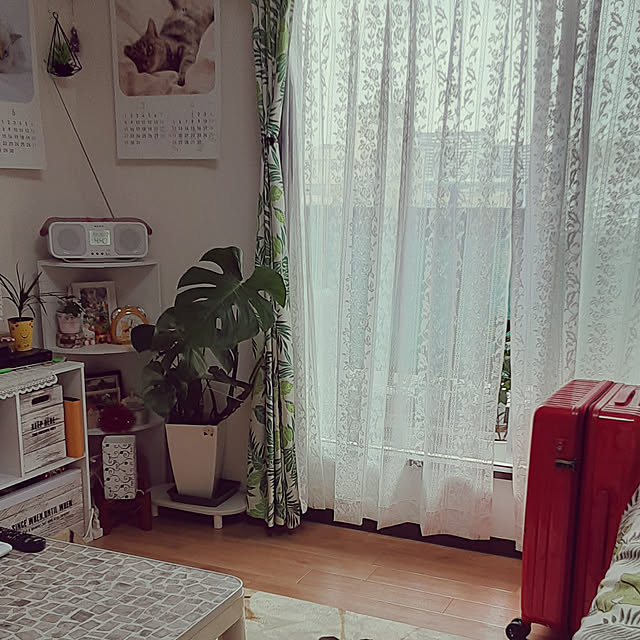sueponさんの実例写真