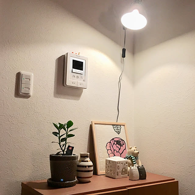 haritakaさんの実例写真