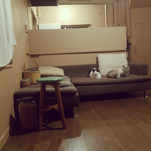 sioyukiさんの実例写真