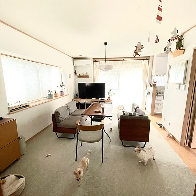 haritakaさんの部屋