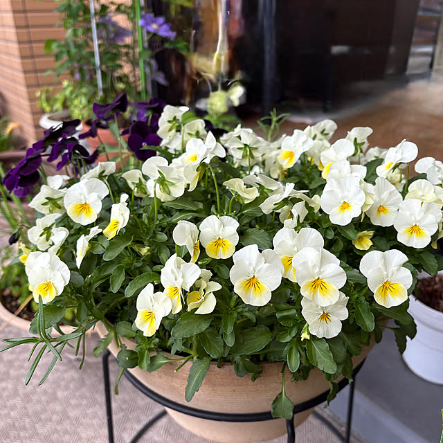 mikiさんの実例写真