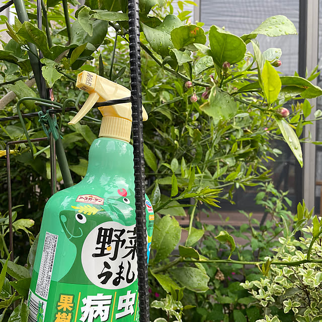 ronronさんの実例写真