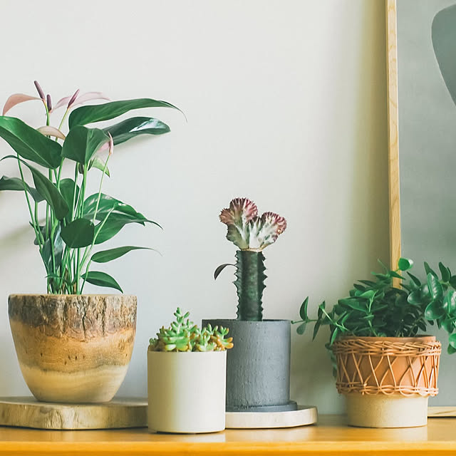 memeさんの実例写真