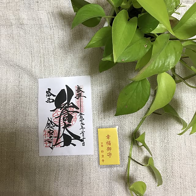 mayuさんの実例写真