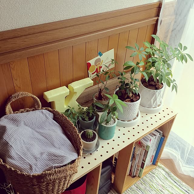 miki_kさんの実例写真