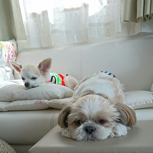 ronさんの実例写真