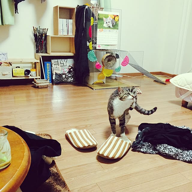 実例写真