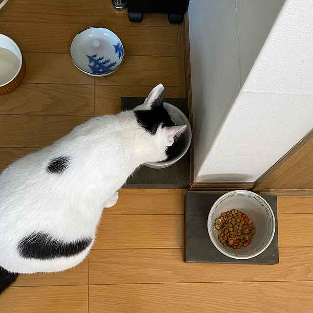 nobikoさんの部屋