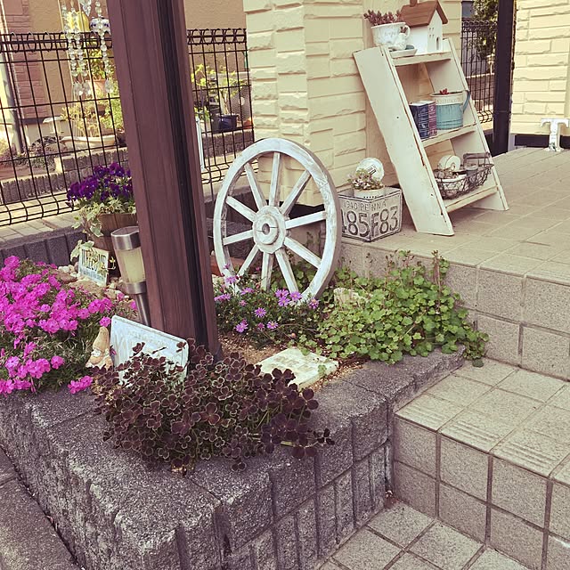 Masakoさんの実例写真