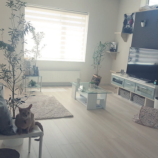 megu.catさんの実例写真