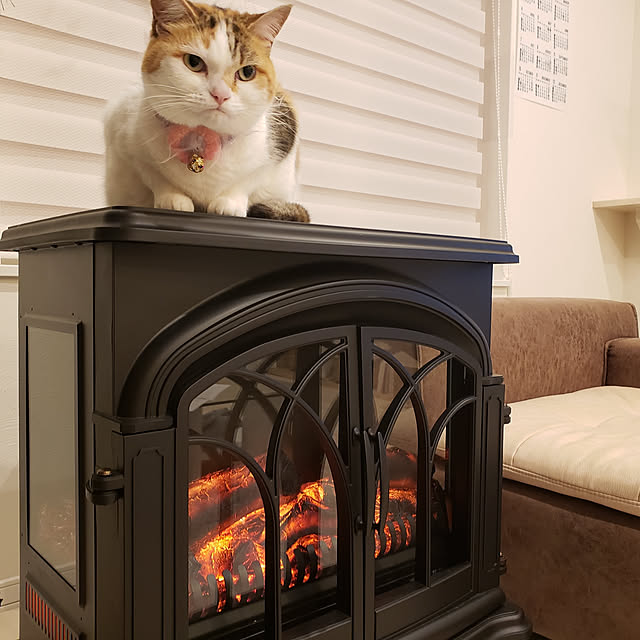 megu.catさんの実例写真