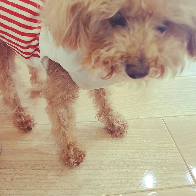 yumi.grandsaisonさんの部屋
