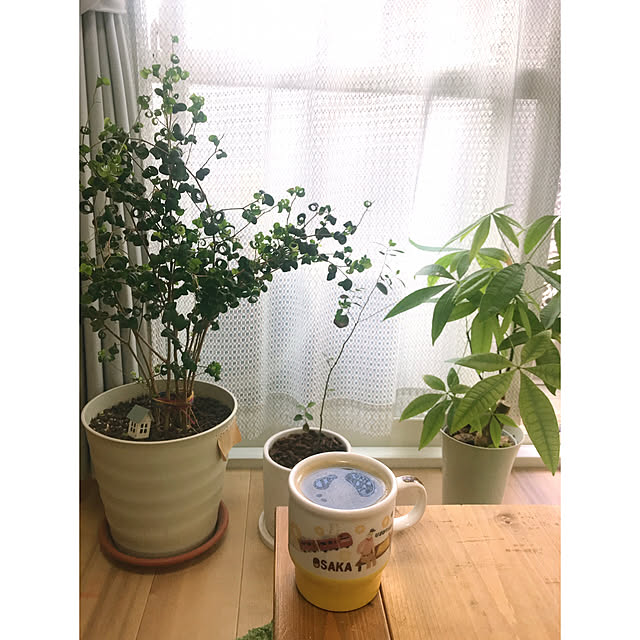 pakila15さんの実例写真