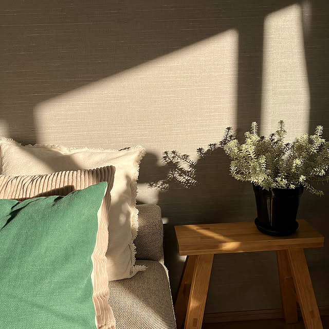 Anthuriumさんの部屋