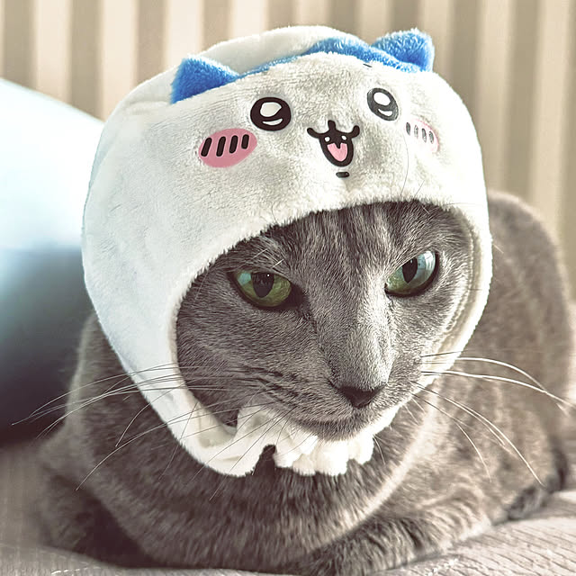 snoopyさんの部屋