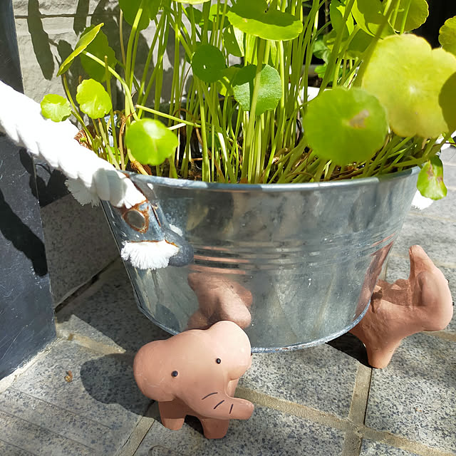 leon.cat172さんの実例写真