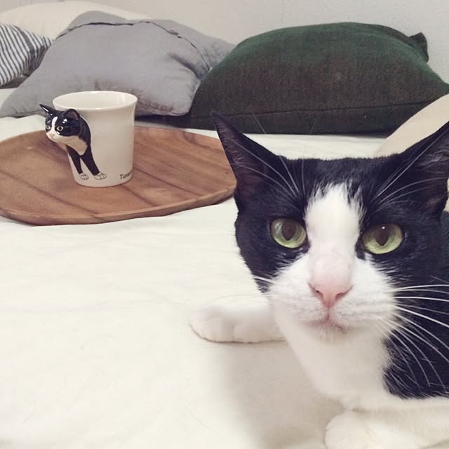 uniさんの実例写真