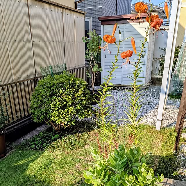 Renさんの実例写真
