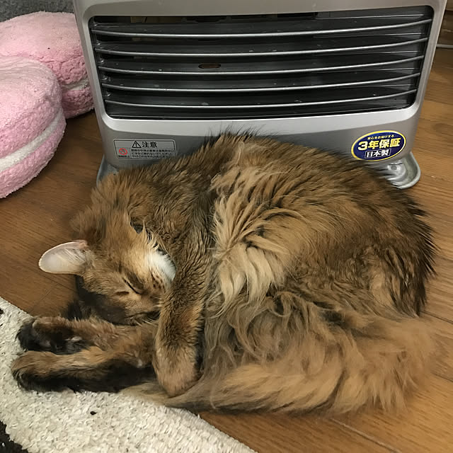 yukarinさんの実例写真