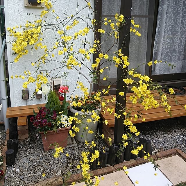 erumoさんの実例写真