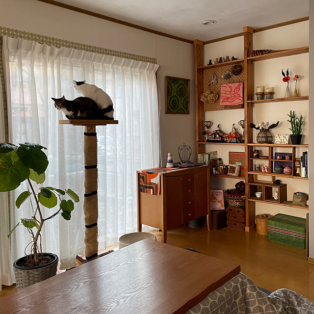 nobikoさんの部屋