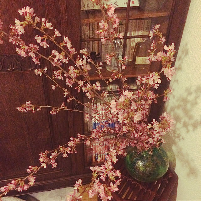 tomonon0812さんの実例写真