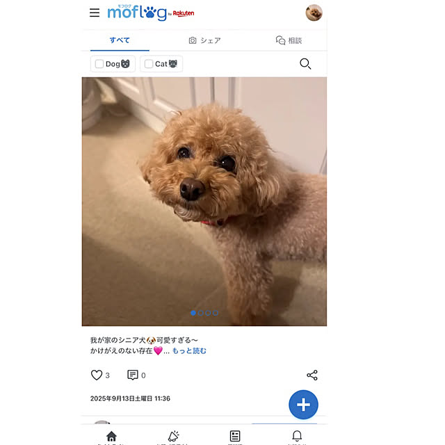 chaimomさんの実例写真